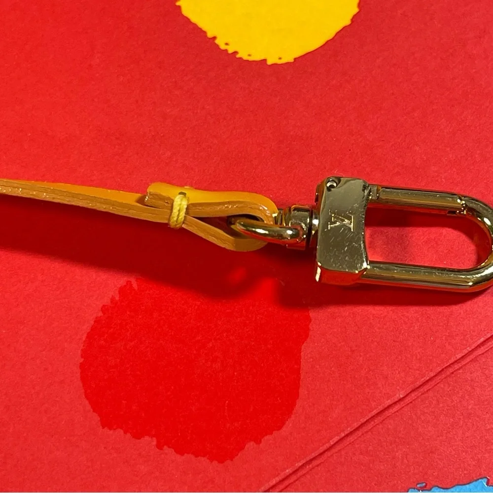 Louis Vuitton Pochette 12